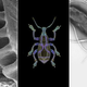 Image for article titled 5 Creatures That Have Evolved Into Badass Biological Machines